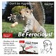 Don’t Be Aggressive… Mad Squirrel - 092