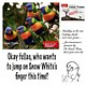 OK Fellas… Colorful Birds - 066