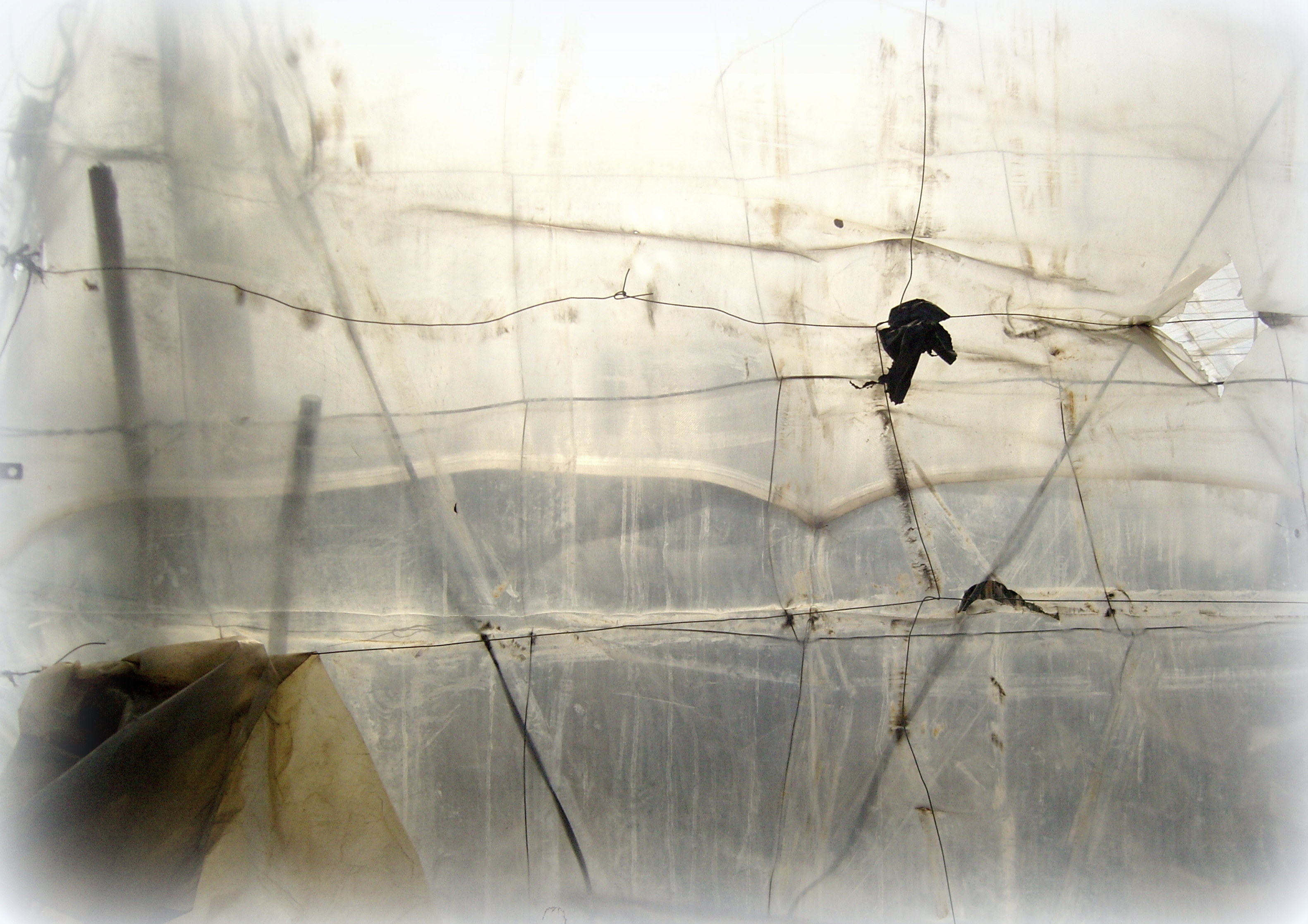 photography Paul Edmondson