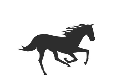Motion Study - Horse