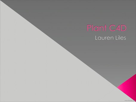 Plant (Org)