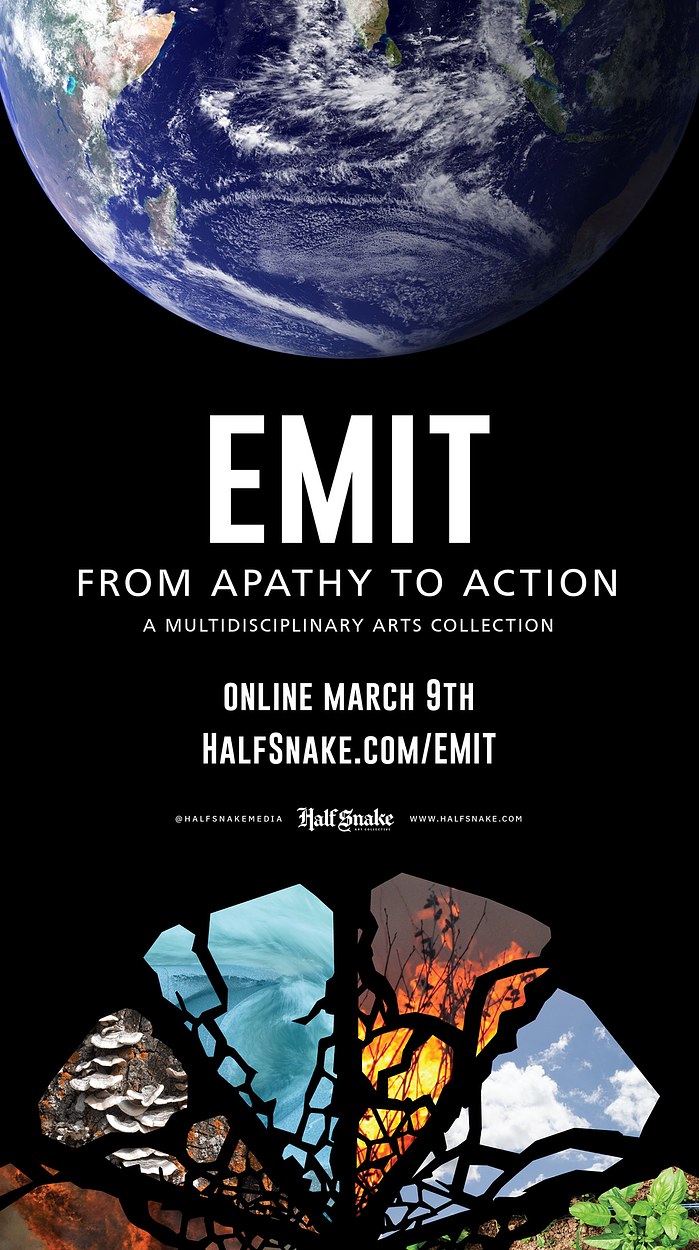 EMIT Art Show - Poster