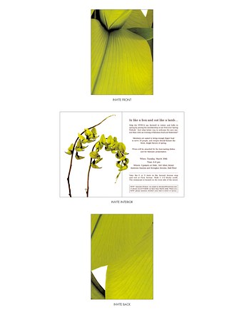 Printed Invite (Spring Season Luncheon); Client: New York Women's Culinary Association