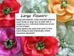 large flower info slide.