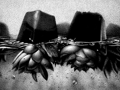 "Soaked Succulents II"