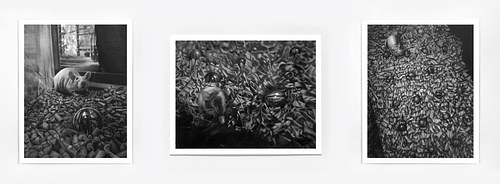 The Mice and the Marbles