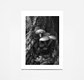 Mycelium Family 2