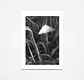 Mycelium Family 3