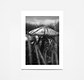 Mycelium Family 5
