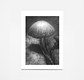 Mycelium Family 4