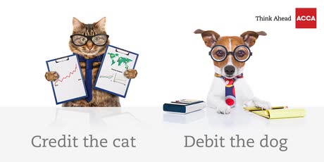 Pawsibly, an accountant’s best friend. Whose yours?