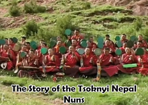 The Story of the Tsoknyi Nepal Nuns