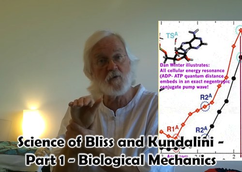 Science of Bliss and Kundalini -  Part 1 - Biological Mechanics