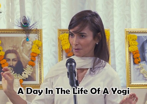 A Day In The Life Of A Yogi