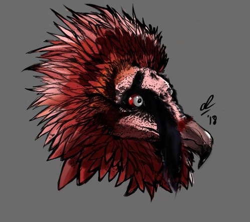 Blood Vulture - Digital (PS CC)