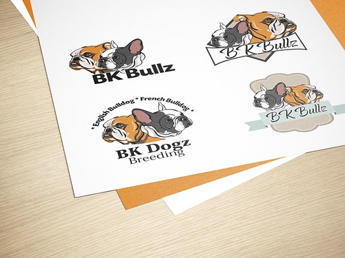 BK Bullz Breeding Logo Drafts  © Kolor Kopy