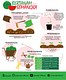 Water Melon Planting Infographic
