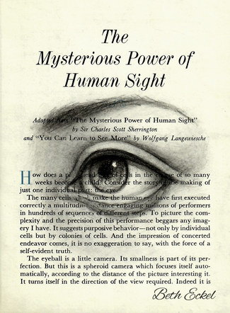 The Mysterious Power of Sight