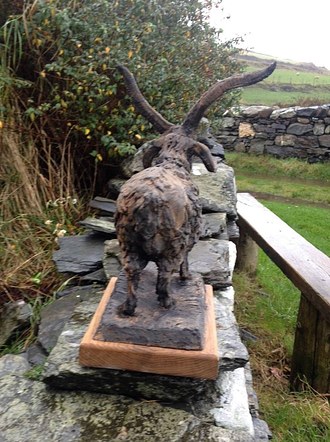 Loughran Sheep, Isle of Man