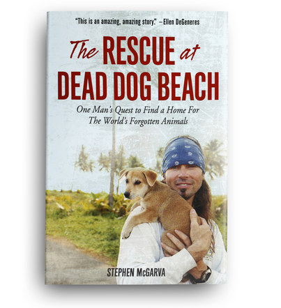 The Rescue at Dead Dog Beach | Front Cover Design 3