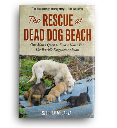 The Rescue at Dead Dog Beach | Book Cover Design 6
