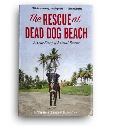 The Rescue at Dead Dog Beach | Front Cover Design 7