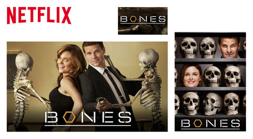 Netflix Website Show Images | Bones