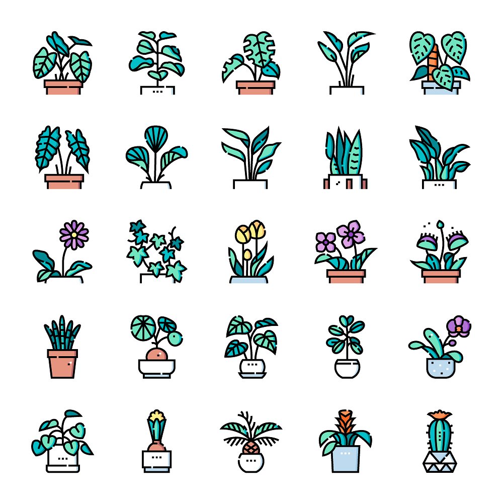 Icon Plants