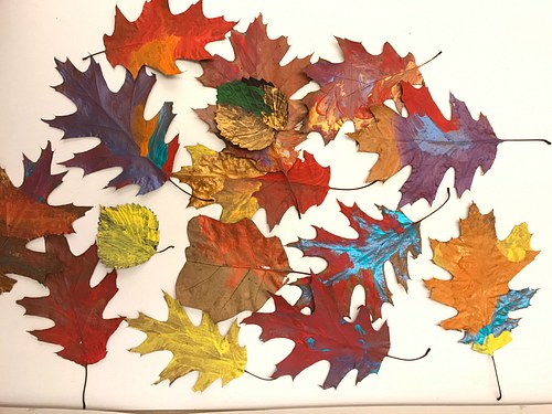 ECC Art and Science  Integration: Leaves Painted with Acrylic 