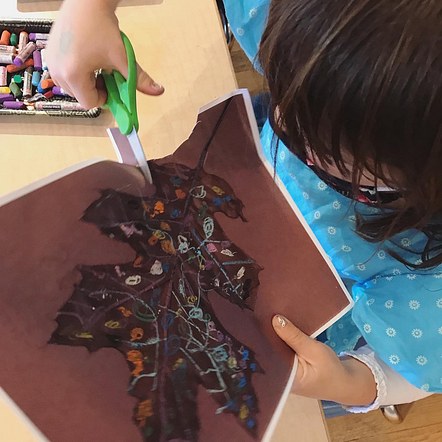 Leaf - Integrated Science and Art
