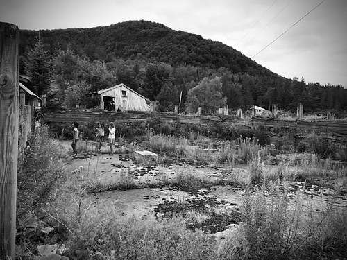 Revival, Vermont