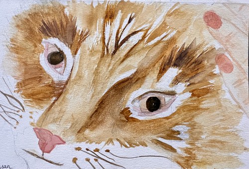 Kitty
