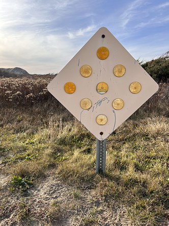 Do Not Proceed, Martha's Vineyard
