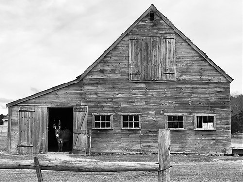 The Threshold, Martha's Vineyard