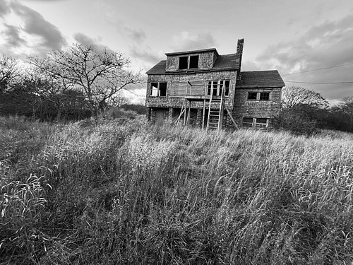 Windblown, Aquinnah, Massachusetts
