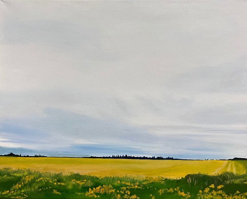 Golden Fields