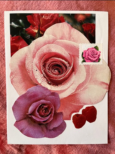 Roses