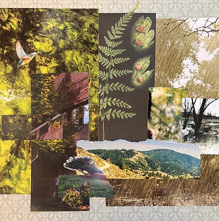 Trees
