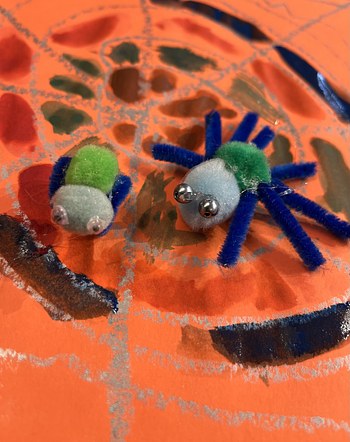 Spider Meetup