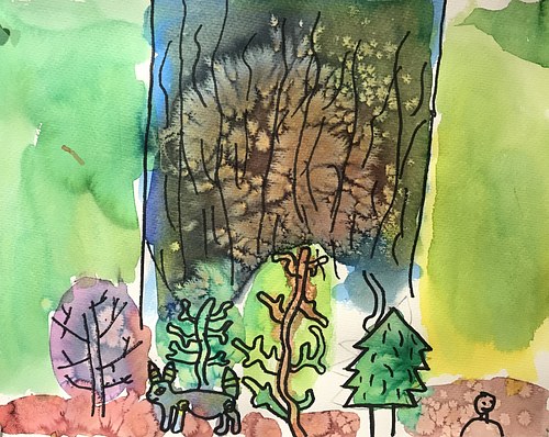 Forest