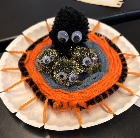 Third Grade Art Integration, Native American Weaving Traditions: Woven Web with Spiders