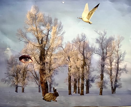 Flight