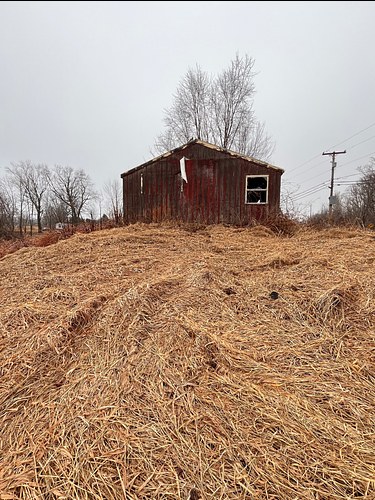 At The Farm, Greene, ME