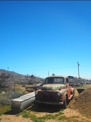 Desert Ride