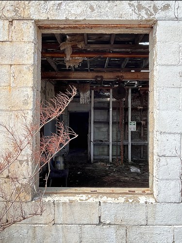 Overgrown, Quincy, MA