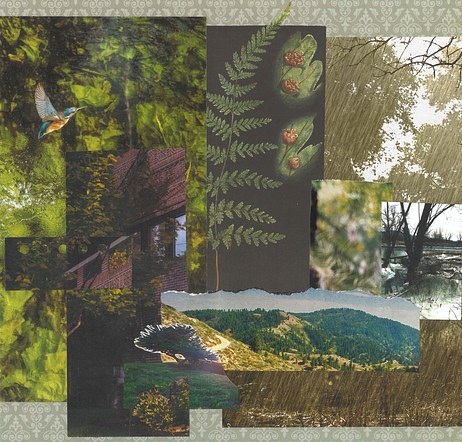 Trees