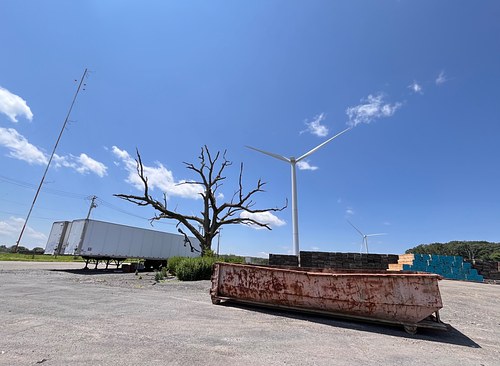 The Tree, Cranston, RI