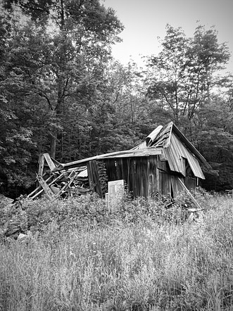 Nature, South Pomfret, VT