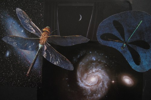 Dragonfly S​k​y