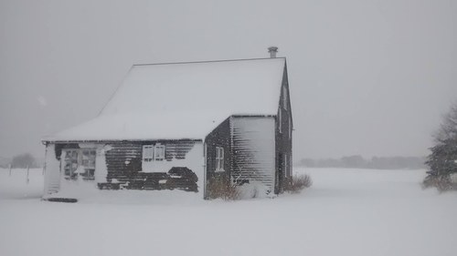Blizzard, Martha's Vineyard